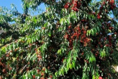 1-