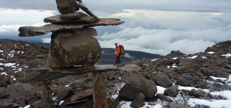 Kilimanjaro…vazut de Camelia Manea