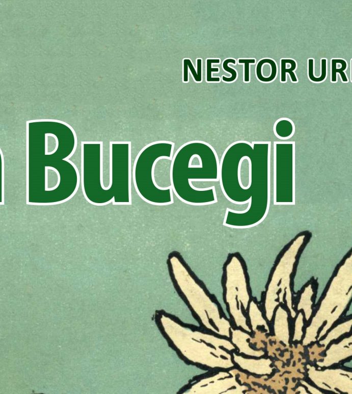 O nouă apariție în Colecția Verde: În Bucegi, de Nestor Urechia